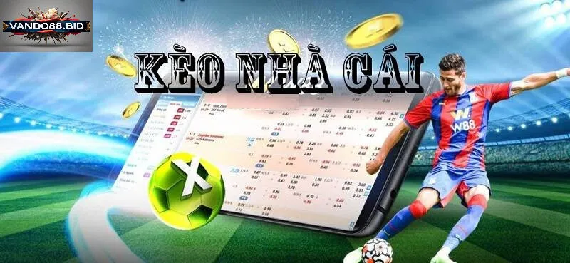 Các Loại Tỷ Lệ Kèo Phổ Biến Nhất Tại Vando88