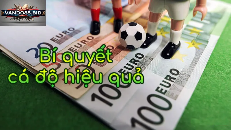 Mẹo Vàng Để Thành Công Trong Cá độ bóng đá