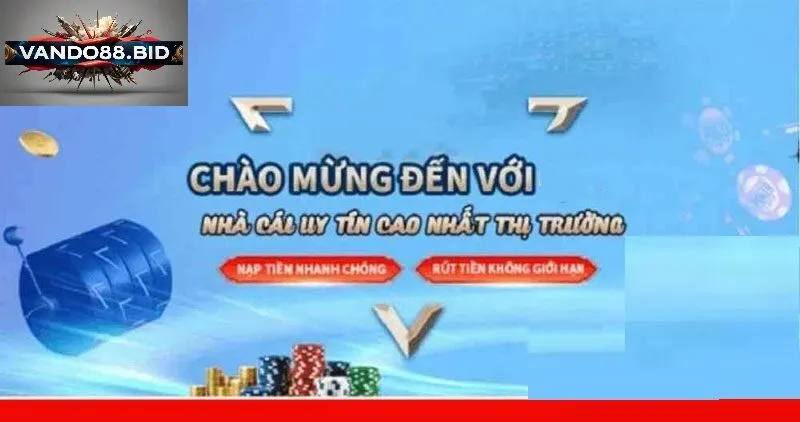 Thông Tin vando88 Là Gì?