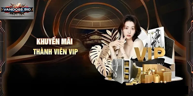 Vip vando88 Là Gì? Những Điểm Đặc Biệt Gì Thu Hút Người Dùng?
